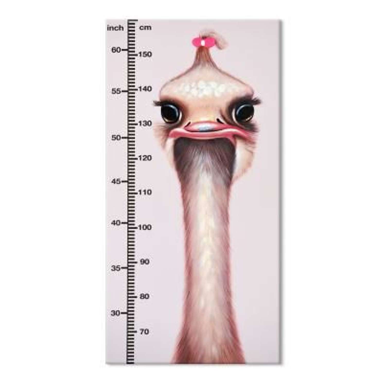 Hand Painted Childrens Height Chart Canvas-Ostrich Ref 1G208