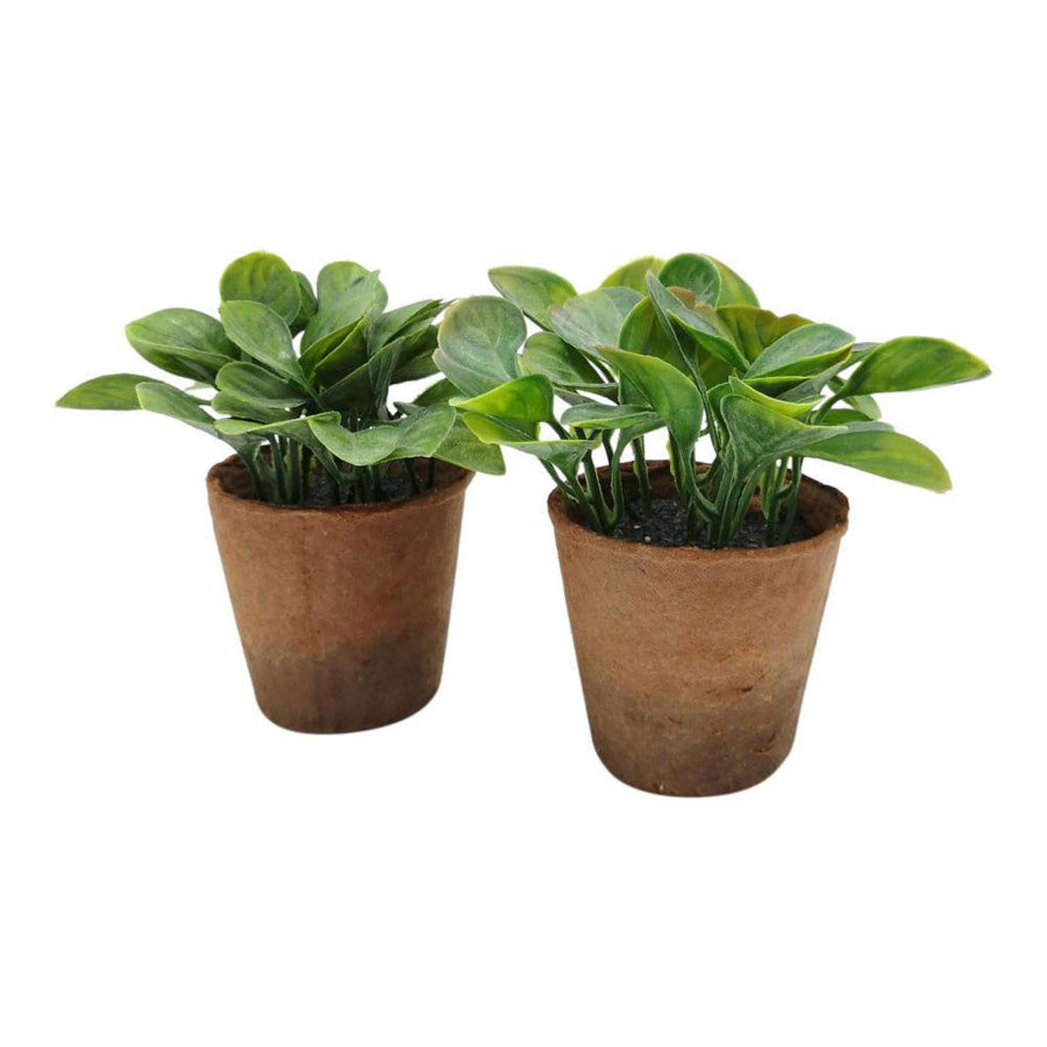 Mini Green Plant in Pot - Ref CV04020